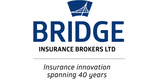 https://www.pro-manchester.co.uk/wp-content/uploads/2016/10/bridge_insurance_brokers_0.png