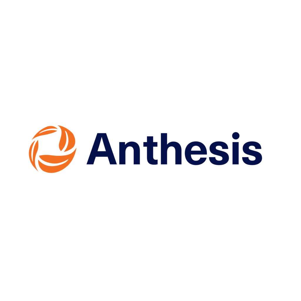 Anthesis in a sentence picture