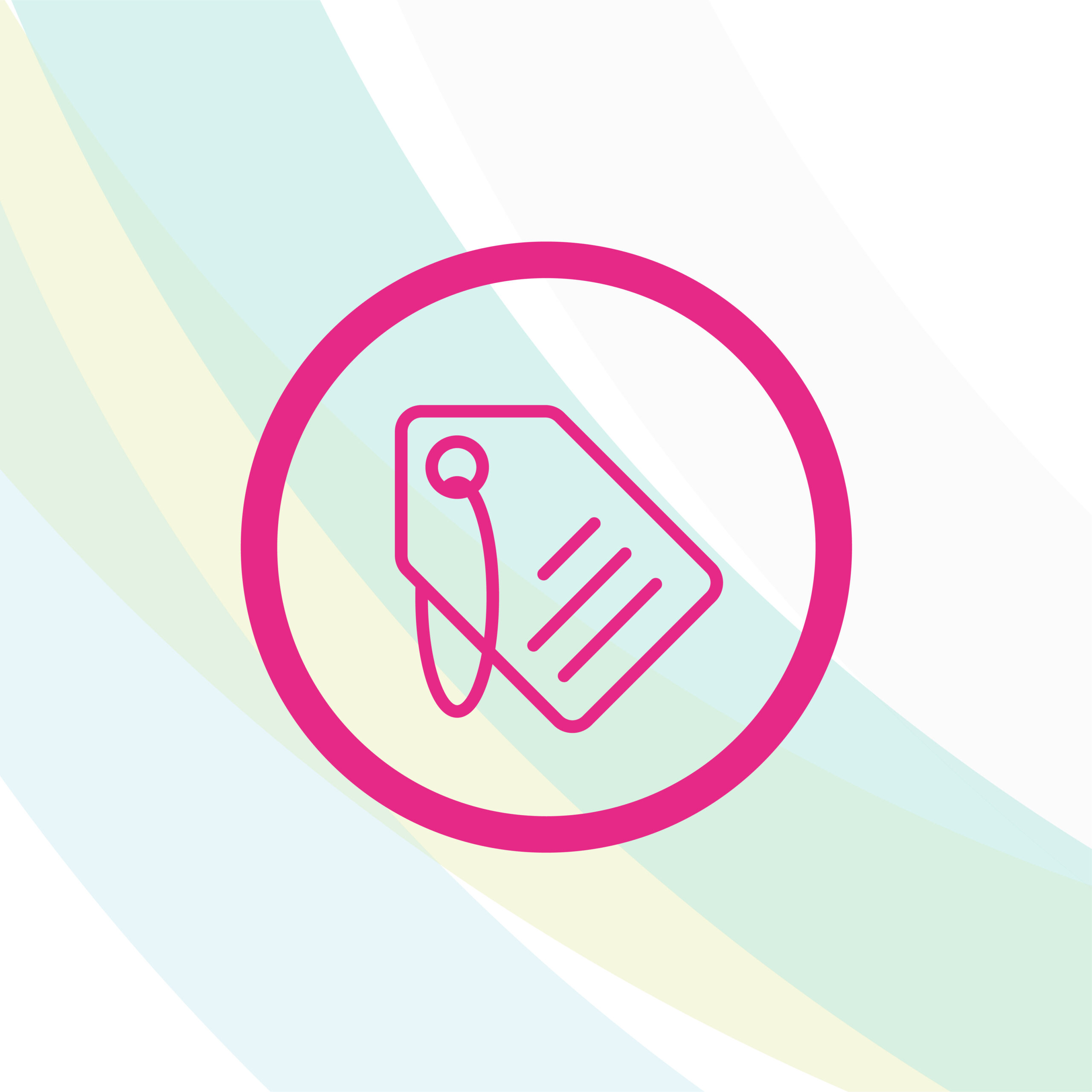 Retail, innovation and sustainability - the strive to survive - pro ...